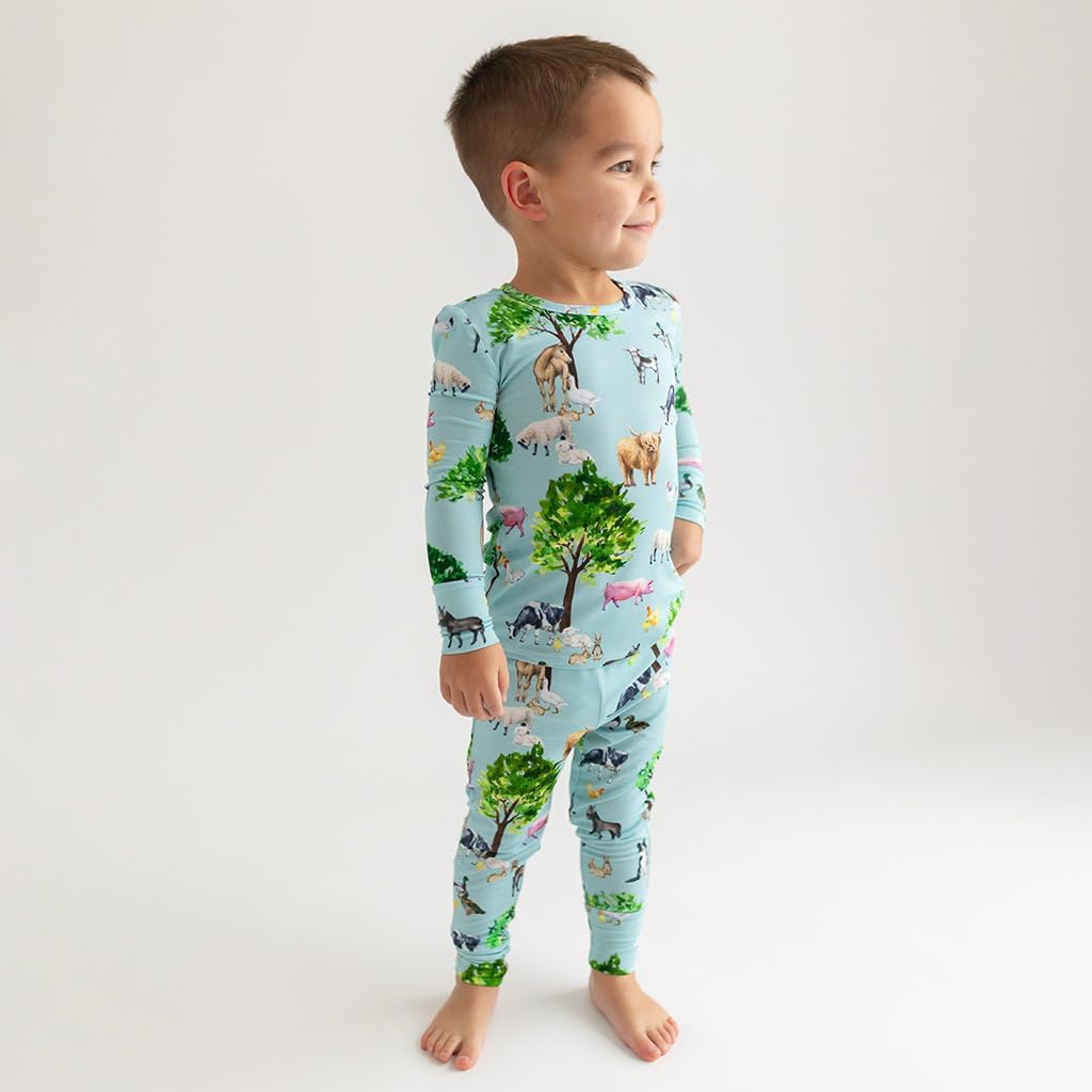 Posh Peanut Boys Pajamas - PJs for Kids Made of Soft Viscose from Bamboo, Long Sleeve Toddler PJs & Matching Boys Pajama Sets WEBE CLOTHING