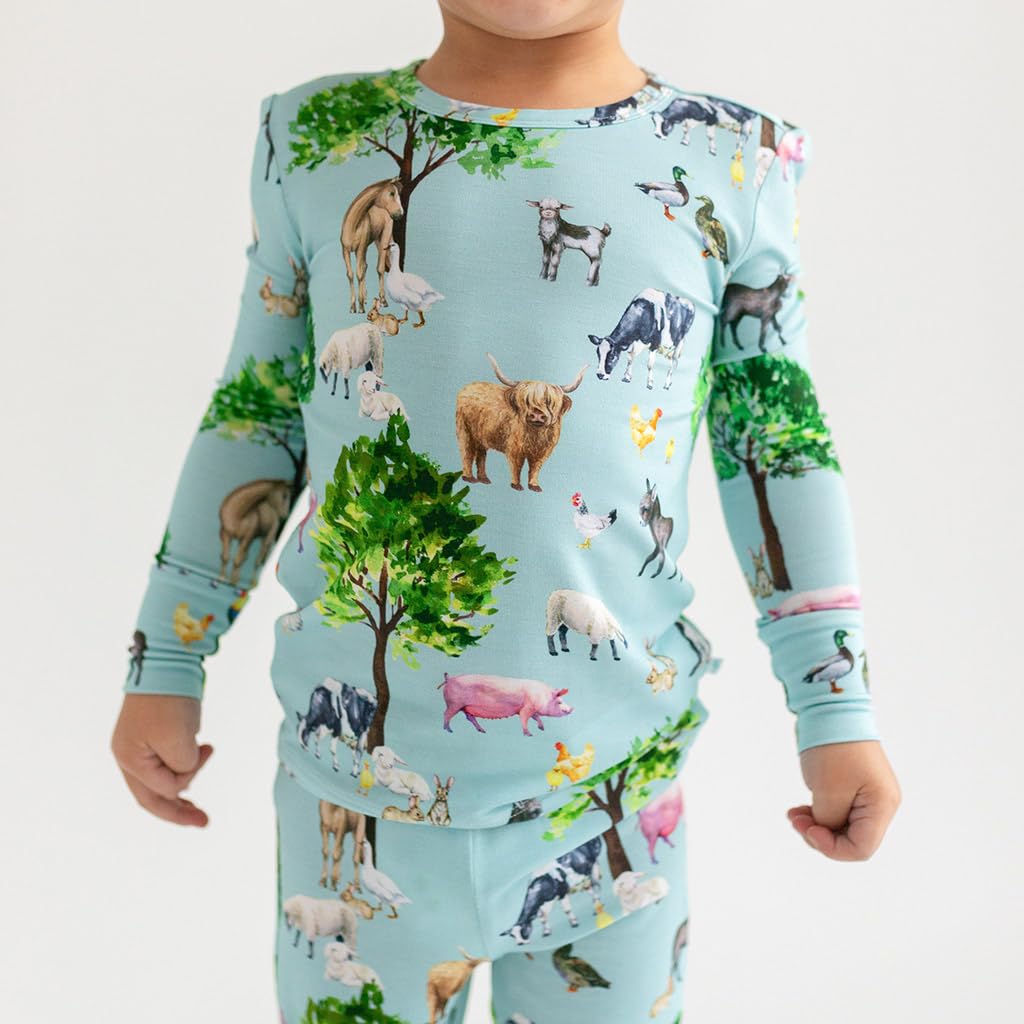 Posh Peanut Boys Pajamas - PJs for Kids Made of Soft Viscose from Bamboo, Long Sleeve Toddler PJs & Matching Boys Pajama Sets WEBE CLOTHING