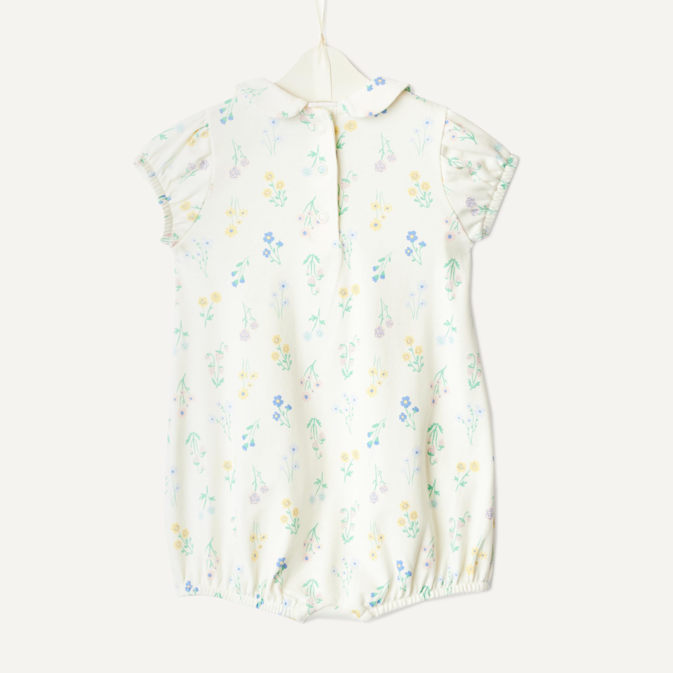 Amazon Essentials x Sofia Grainge Baby Girls' Cotton Short Sleeve Romper with Peter Pan Collar WEBE CLOTHING